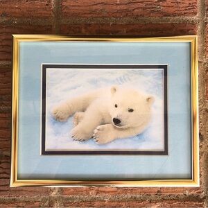 Framed Photograph of Baby Polar Bear Cub Laying in the Snow 10 1/4” x 8 1/2”